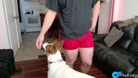 thekodyy online show from November 2025 01:10:02 PM