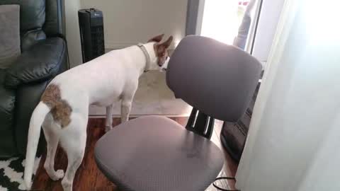 thekodyy online show from November 2025 12:56:01 PM