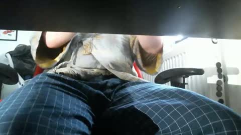 thelittleteaser online show from April 2026 02:42:01 PM