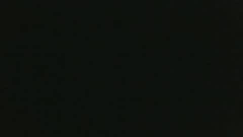 JohnSilver online show from February 2025 02:04:02 PM