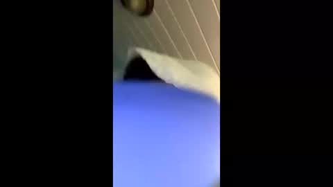 theonlyboi43ver online show from November 2025 03:33:02 PM