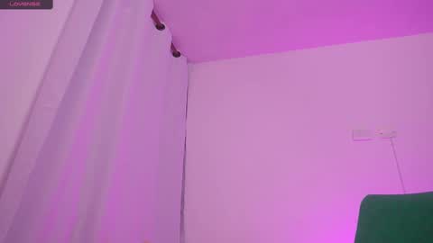 Snapshot of therealpeach_ chatting on February 2025 11:30:01 AM    online show from February 2025 11:30:01 AM