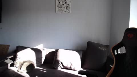 Nick   online show from September 2025 06:19:02 AM