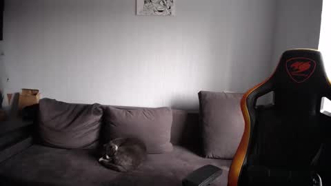 Nick   online show from November 2025 08:47:01 AM