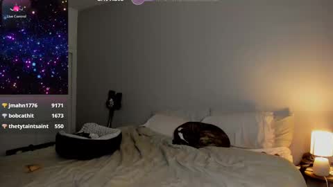 Snapshot of theselina_kyle chatting on January 2025 08:13:01 AM Selina Kyle online show from January 2025 08:13:01 AM