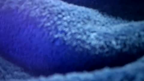 that would be telling online show from February 2026 01:18:01 PM