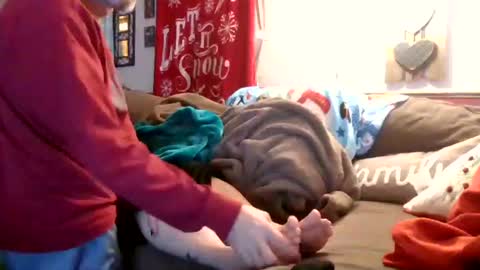 Snapshot of theycallmemellowthebreeze chatting on December 2024 12:04:01 AM mellow online show from December 2024 12:04:01 AM