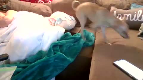 Snapshot of theycallmemellowthebreeze chatting on February 2025 03:55:02 AM mellow online show from February 2025 03:55:02 AM