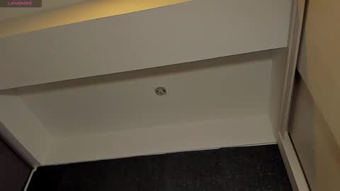 THIAGO MENESES online show from January 2026 03:11:02 AM