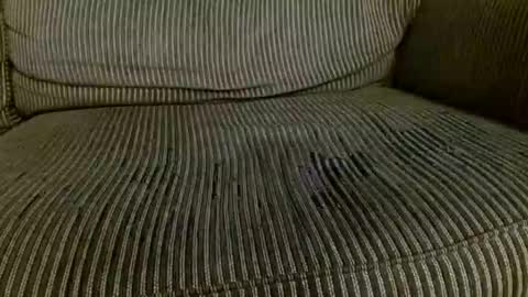 Snapshot of thick_dom chatting on February 2026 05:05:02 AM Thick Dom online show from February 2026 05:05:02 AM