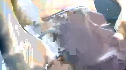 thickbong online show from October 2025 04:49:02 PM