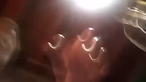 Snapshot of thickdick513 chatting on December 2024 01:10:02 PM thickdick513 online show from December 2024 01:10:02 PM