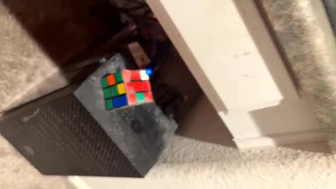 Snapshot of thicknswole chatting on March 2025 08:08:01 AM Thiccccc online show from March 2025 08:08:01 AM