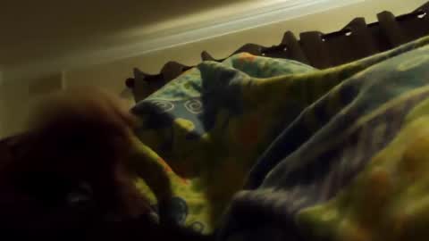 Snapshot of thisbloke96 chatting on February 2026 04:38:01 AM thisbloke96 online show from February 2026 04:38:01 AM