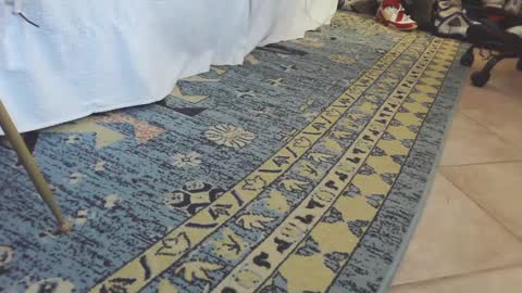 Snapshot of thongmuscle chatting on February 2025 01:49:02 PM ThongMuscle online show from February 2025 01:49:02 PM