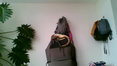 Snapshot of tiaretiareopui chatting on October 2025 11:22:01 AM tiaretiareopui online show from October 2025 11:22:01 AM