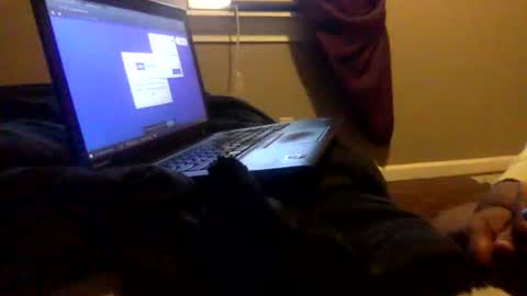 Snapshot of tierrahenri chatting on February 2025 03:49:02 PM Tierra Henri online show from February 2025 03:49:02 PM