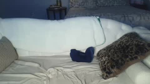 Snapshot of tiffanilove chatting on February 2025 01:00:02 AM Tiffani Love online show from February 2025 01:00:02 AM