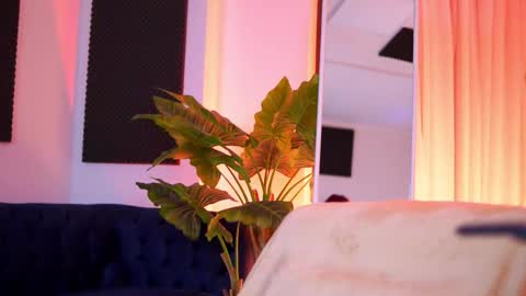 Tiff online show from March 2026 04:14:01 AM