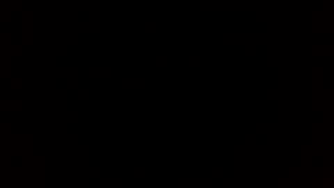 tiff online show from December 2024 12:02:02 AM