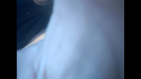 Snapshot of tigers26261022 chatting on March 2025 02:47:02 AM tigers26261022 online show from March 2025 02:47:02 AM