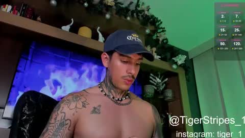 Snapshot of tigerstripes_ chatting on January 2025 02:25:01 AM Chris online show from January 2025 02:25:01 AM