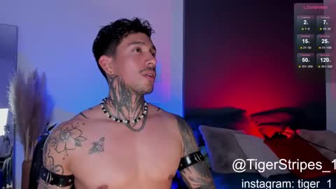 Snapshot of tigerstripes_ chatting on February 2025 10:28:02 PM Chris online show from February 2025 10:28:02 PM