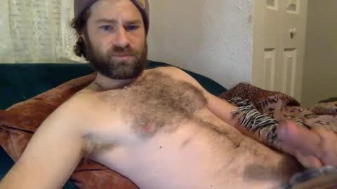 tigerzaddy online show from December 2024 01:54:02 PM