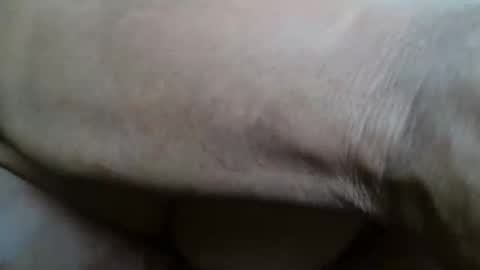 tinagiant online show from November 2025 01:00:02 PM