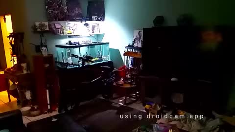 Snapshot of tinalover4u2 chatting on November 2025 06:35:01 PM tinalover4u2 online show from November 2025 06:35:01 PM