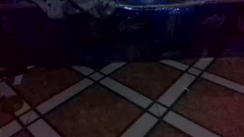 tino1roy online show from March 2026 07:13:02 AM