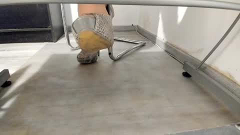 Anna online show from April 2026 05:40:02 PM