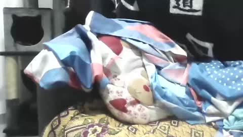 Ester online show from April 2026 09:01:01 AM