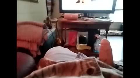 tjllagwbggrr online show from January 2026 07:28:02 PM