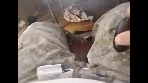 tjllagwbggrr online show from February 2026 05:16:02 AM