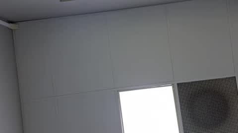 Vols online show from March 2025 11:51:01 AM