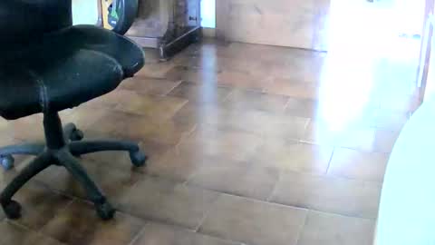 Tobiko online show from December 2025 01:17:04 PM