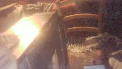 tobimcfly723 online show from April 2026 11:29:02 PM