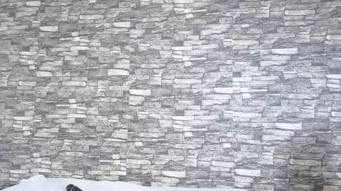 Tokyo online show from February 2026 06:06:01 PM