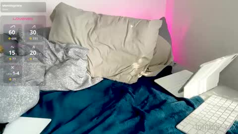 tomboiii online show from February 2026 10:41:02 PM