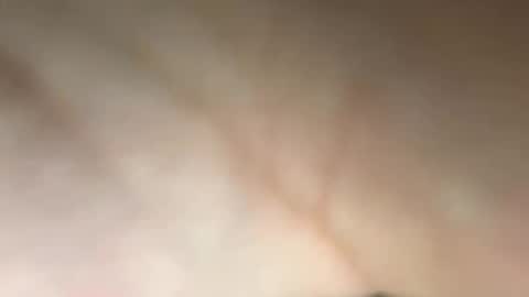 tomusa2 online show from September 2025 04:50:02 PM