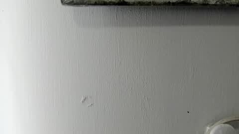 lady blue online show from January 2025 05:38:01 PM