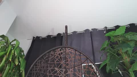 Snapshot of tony_newmen chatting on February 2026 12:16:02 AM tony online show from February 2026 12:16:02 AM