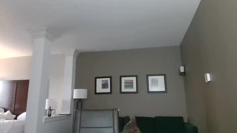 Snapshot of toomuchsmoke chatting on February 2025 12:22:02 AM toomuchsmoke online show from February 2025 12:22:02 AM