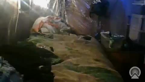 Snapshot of tootall1991420 chatting on October 2025 01:06:02 PM tootall1991420 online show from October 2025 01:06:02 PM