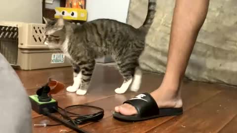 Snapshot of toptierdrippa chatting on March 2026 12:11:01 PM TopTierDrippa online show from March 2026 12:11:01 PM