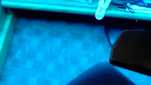 Snapshot of tornne chatting on February 2025 01:19:02 PM tornne online show from February 2025 01:19:02 PM