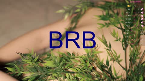 Toshi online show from December 2024 04:20:01 PM