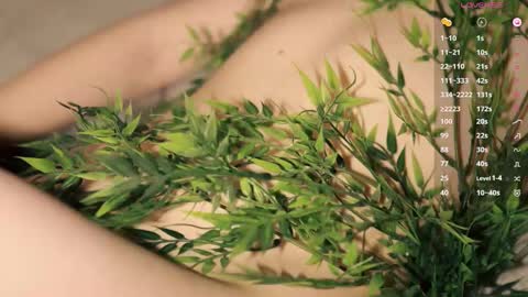 Toshi online show from January 2026 01:04:01 PM