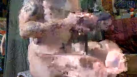 touchofclass90 online show from March 2025 10:48:01 AM